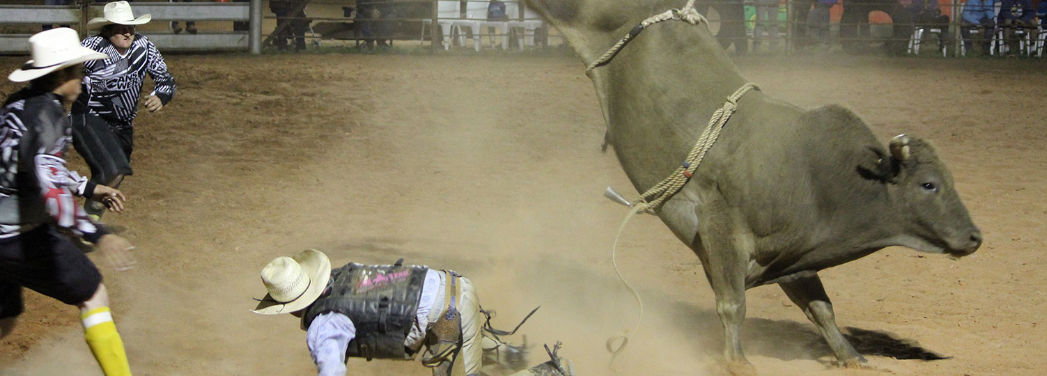 Thargomindah bullride.